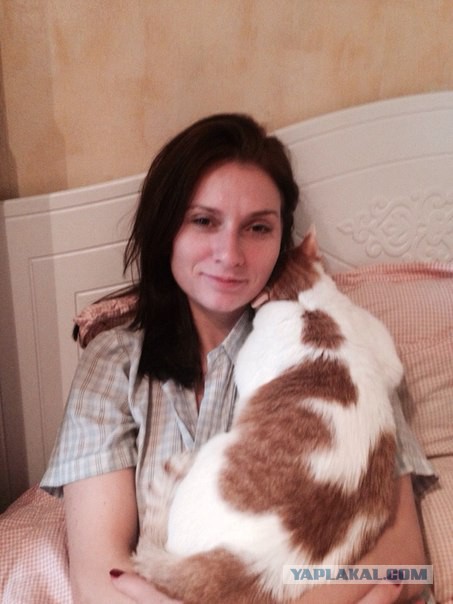 Котовторник 15-09-2015 !