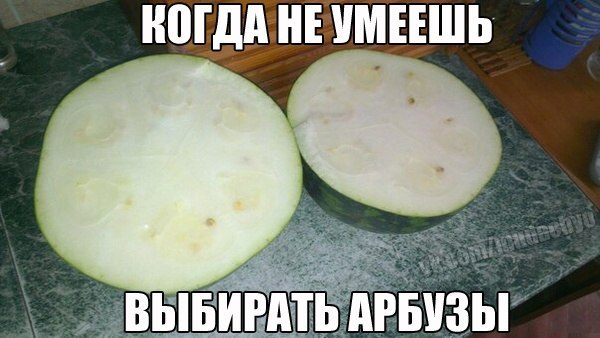 Подборка прикольных фото на пятницу