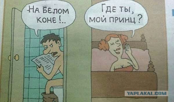 Мачо для Мохначо