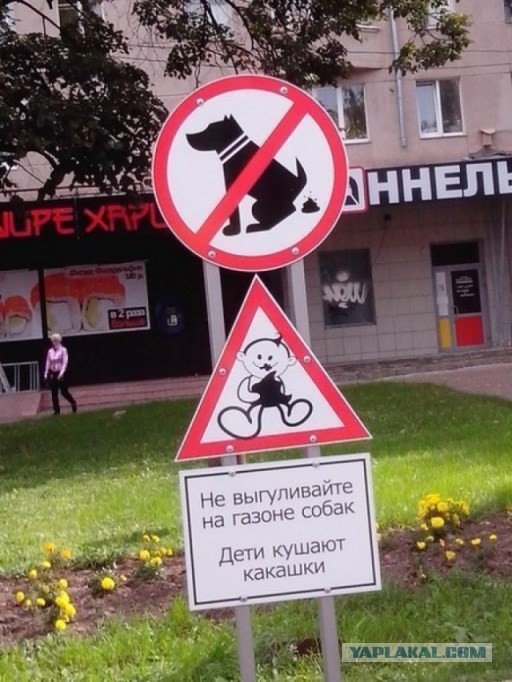 Про собак...