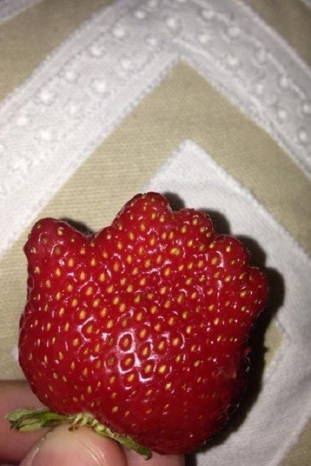 Интересные и веселые картинки