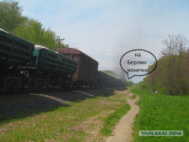 Следственный эксперимент с шашлыком