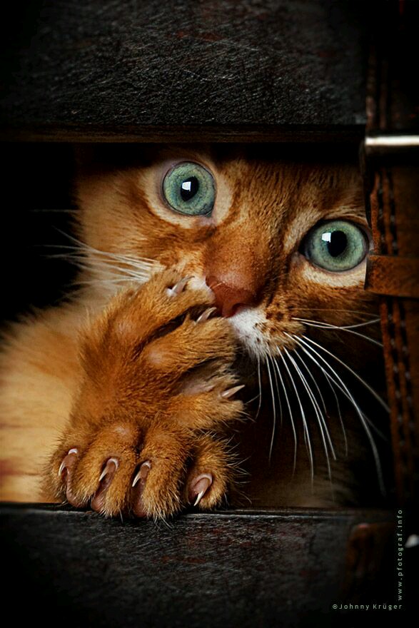 Подборка интересных и веселых фото