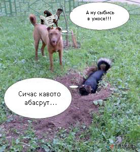 Фотожаба: да здесь где-то недалеко!