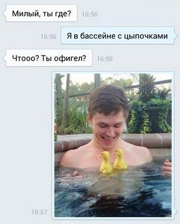 Ассорти картинок из сети