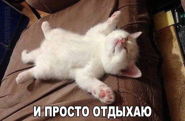 Мохнатые беспредельщики