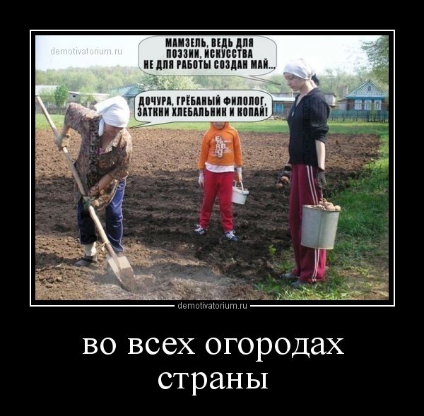 10 простых проблем, решения для которых всё ещё не найдены