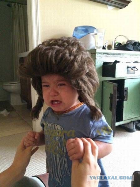 Немного картинок