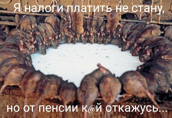 Я работаю в "чёрную". И не жалею. А "Правительство" со своими дебильными законами идёт на*уй