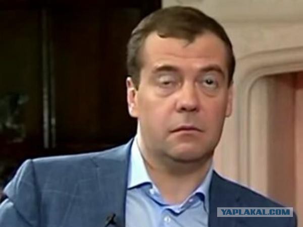 Дружное ржание над Димоном
