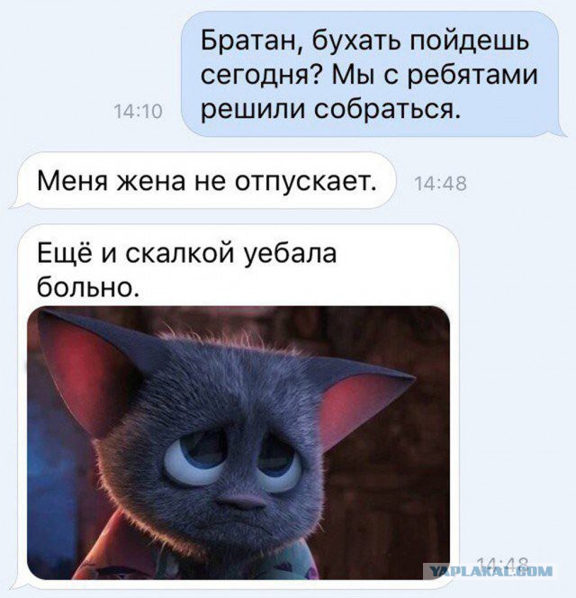 Смешные комментарии из социальных сетей 10.02.2017