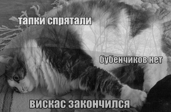Всякого разного на пятницу!
