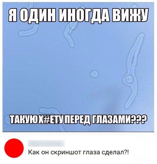 Смешные комментарии из социальных сетей 24.03.2017
