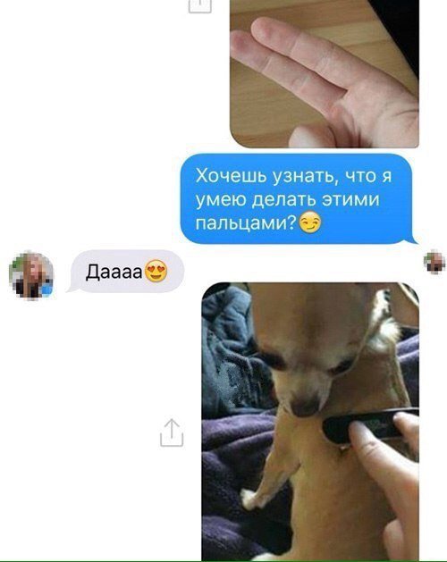 Приколы в стиле "регресс"