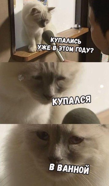 Подборка интересных и веселых картинок