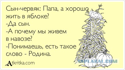 Челябинск задыхается: «Мощный запах фекалий. Запах родного города»