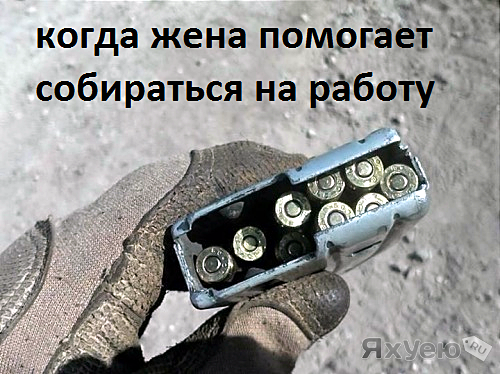 Почему бы не подеградировать, коллеги?