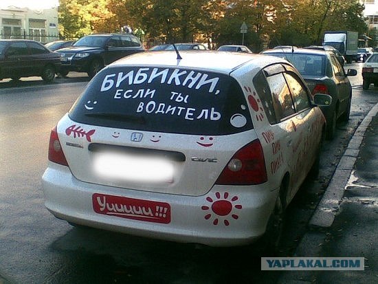 А как Вы развлекаете водителей сзади?