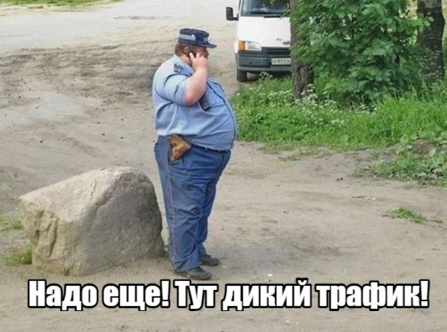 Смотрите, что вытворяет полиция в Вирджинии