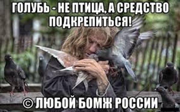 Специфический юмор