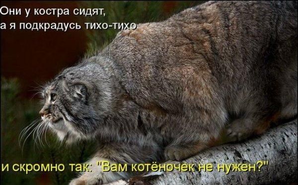 Мануленок Дарья