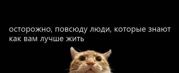 Специфический юмор