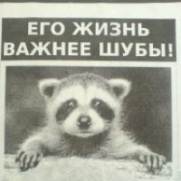 Разговорились с девушкой в поезде