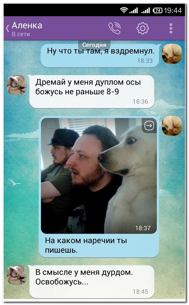 Смешные комментарии из социальных сетей 14.12.2018
