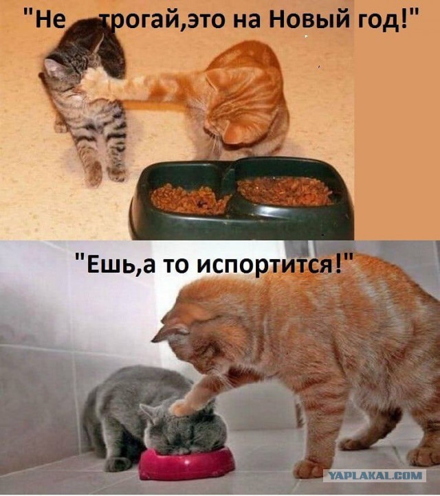 Немного картинок для настроения