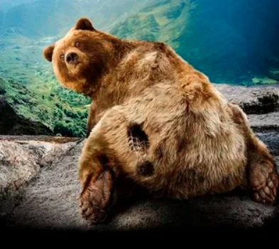 В Якутии девушка-сторож погналась за медведем, приняв его за вора