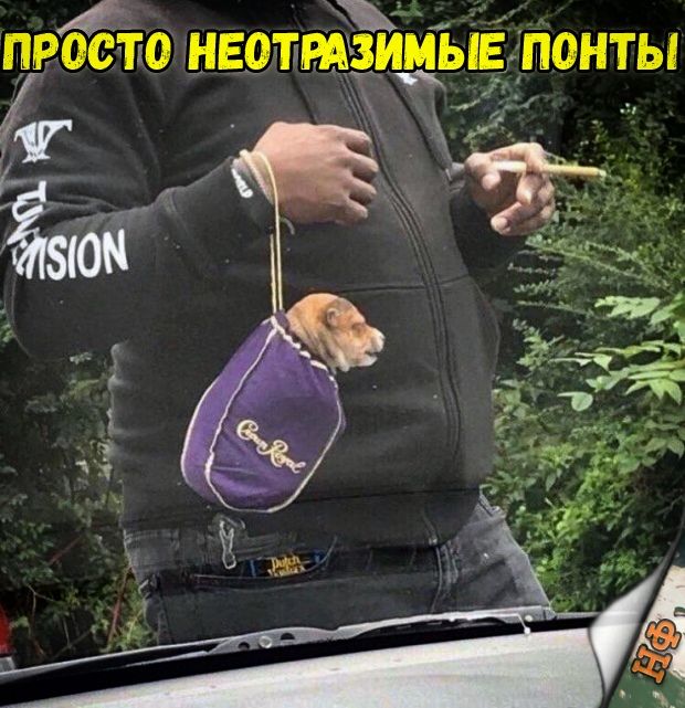 Бредзона 11.12.19