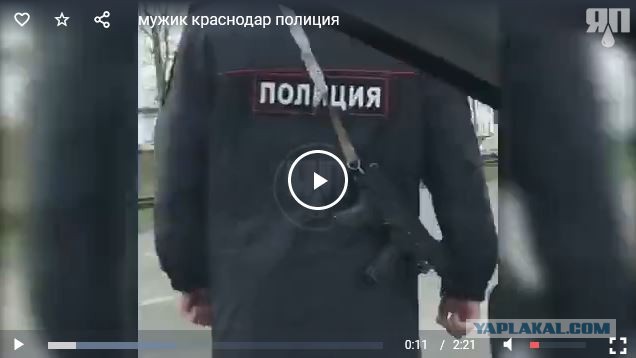 На что рассчитывал? На биту? Мужик в районе Сити-центра кидался на полицейских. Краснодар