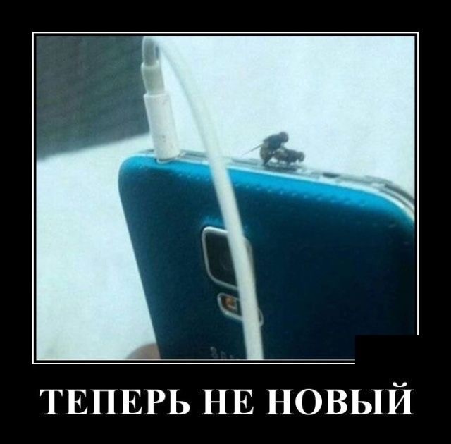Похоже наш парень. 18+