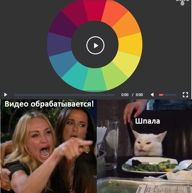 Прошёл целый год! А они всё орут на бедного котика