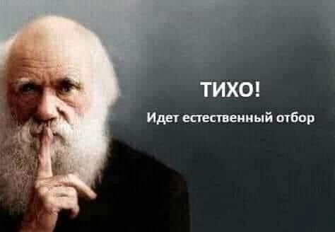 14690183.jpg