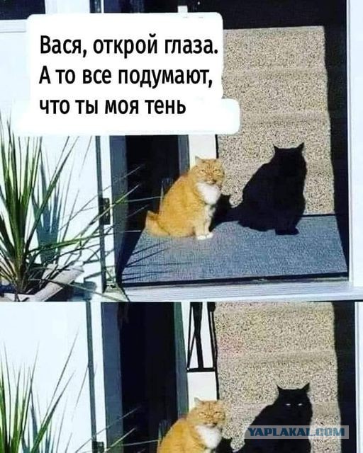 Бредзона 06.11.2020