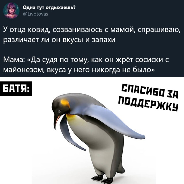 Бредзона 17.11.20