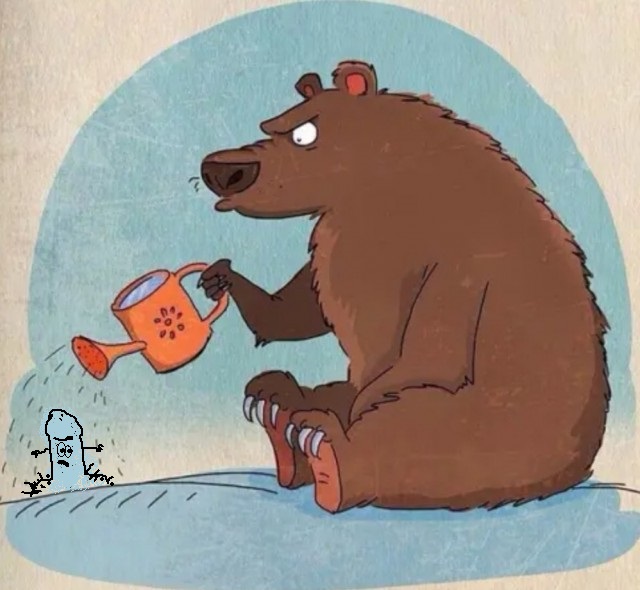 Бредзона 15.02.21