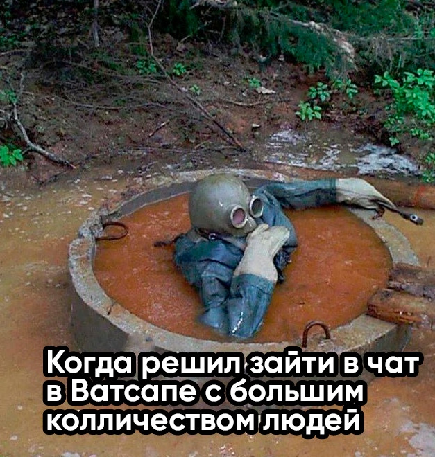 Весёлый полтишок 20.03