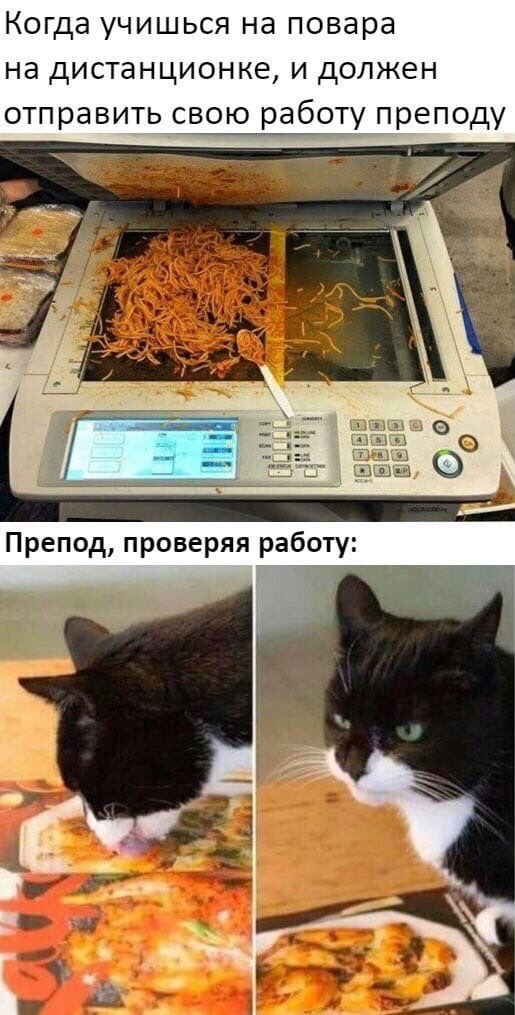 Весёлый полтишок 16.07
