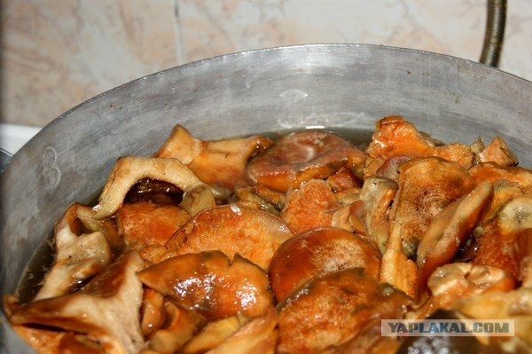 Осень в банках