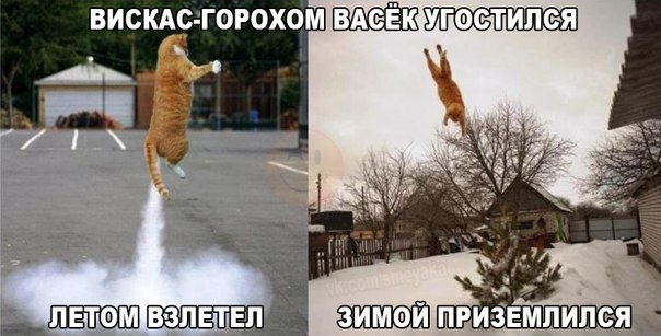 Воскресные Кретинизмы из сети 12.09.2021