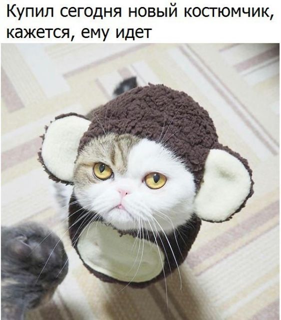 Всякой Хни вам в ленту, дорогие деграданты...