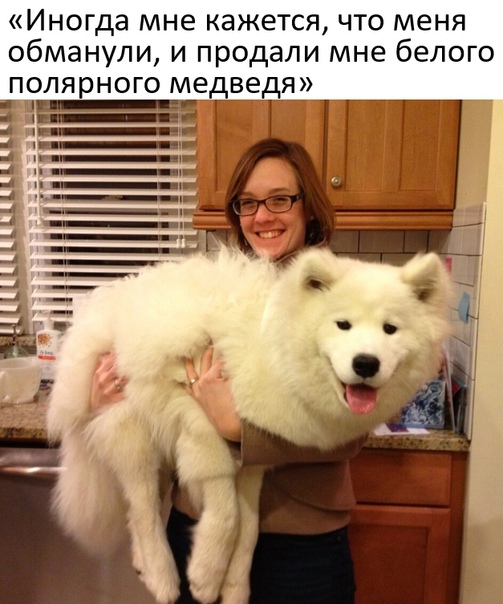 Картинки и мемы, всем прекрасных выходных