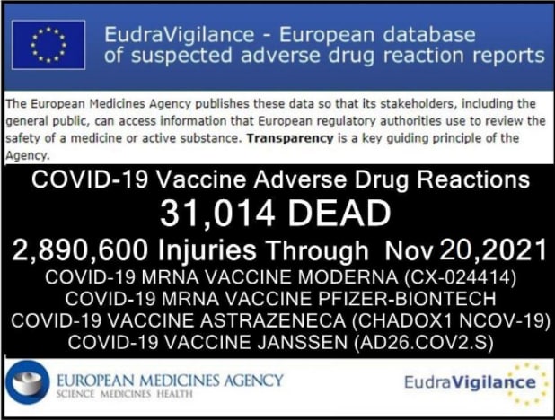 Зомби-апокалипсис 2022