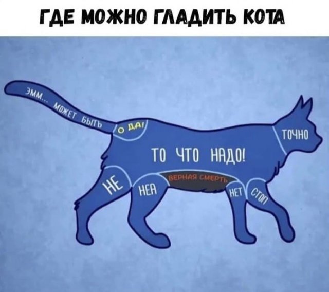 Картинки и мемы для настроения