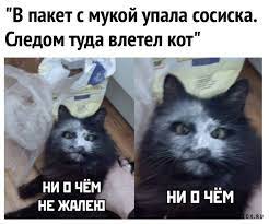 Лицо со шрамом