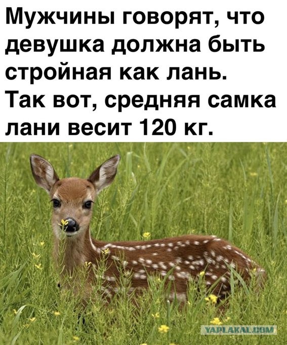 Так себе картинки 29.03.22