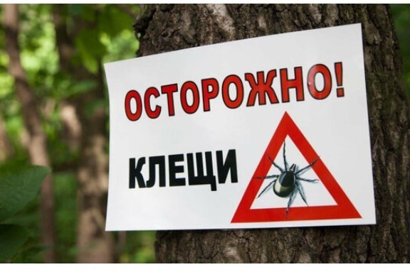 Админам
