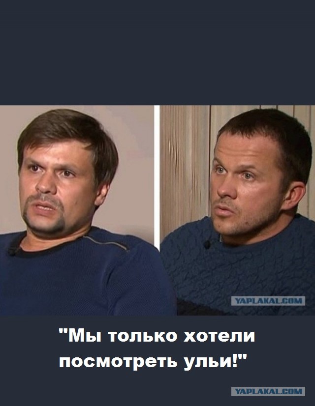 Шведский прокурор, пообещавший огласить миру правду о подрыве «Северного потока», умер от укуса пчелы